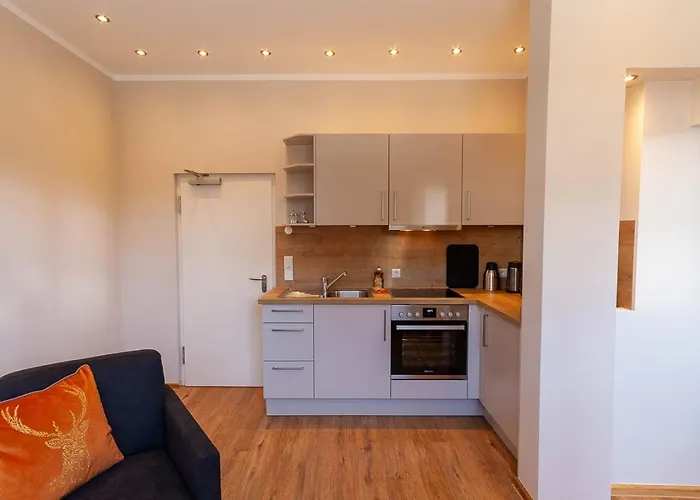 Apartment Waldfrieden 2 Mit Garten Und Grill Braunlage